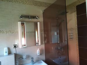 巴拉顿菲兹弗Betty Apartman的带淋浴、两个盥洗盆和镜子的浴室