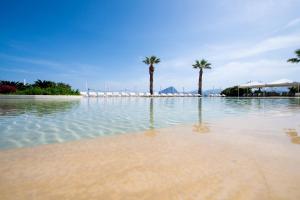 瓦尔德利切La Tonnara di Bonagia Resort的海滩上一片种满棕榈树的海水