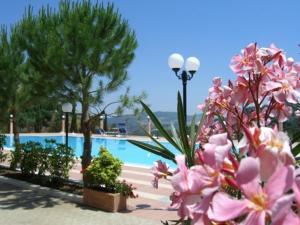 卡利特里安博夏朵利酒店的游泳池旁的一组粉红色花