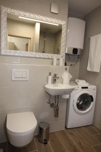 马里博尔Elegant central Apt Maribor w/Parking的一间带洗衣机和水槽的浴室
