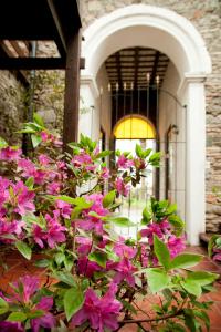 科洛尼亚-德尔萨克拉门托拉米圣酒店的门前一束粉红色的花