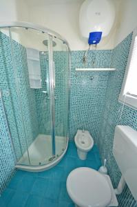 莱乌卡Casa Baia smeraldo的带淋浴、卫生间和盥洗盆的浴室