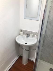 迪斯伯里Wellington Tavern Accommodation的白色的浴室设有水槽和镜子