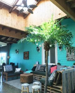 法蒂玛Auberge Paradis Bleu的带沙发和棕榈树的客厅