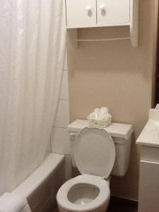 加蒂诺Motel Du Parc Masson的浴室配有卫生间、淋浴和盥洗盆。