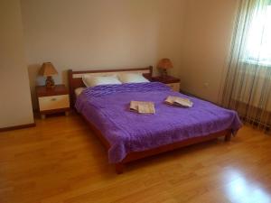 文尼察Hotel Andreevsky的一间卧室配有一张紫色床和两条毛巾