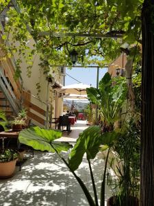 拿撒勒罗萨娜旅馆的种有植物和桌子的庭院