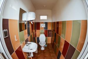 GataučiaiSunny Nights Homestead Rustic House的一间带卫生间和水槽的浴室