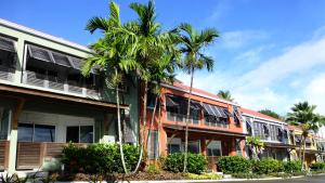 莱特鲁瓦西莱乐全景酒店的一座棕榈树建筑
