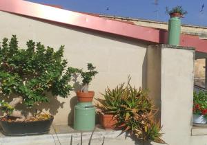 莱切科尔特戴尔伊度米住宿加早餐公寓的建筑一侧的盆栽植物群