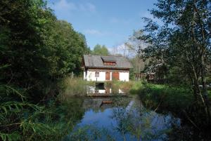 SittersdorfFerienhaus Klopeinersee Kärnten的河中树木的房屋