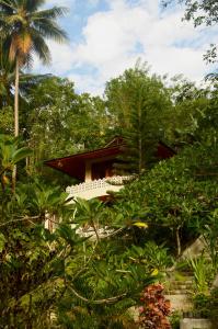 BitungTangkoko Sanctuary Villa的树木中间的一座建筑