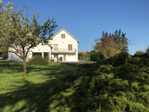 Faverolles-sur-CherAu nom des Dames的院子里有树的白色房子