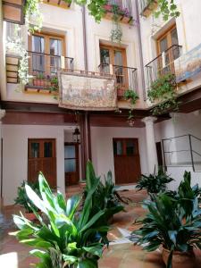 托莱多Apartamentos Nuncio Viejo的一座种植盆栽植物的建筑的庭院
