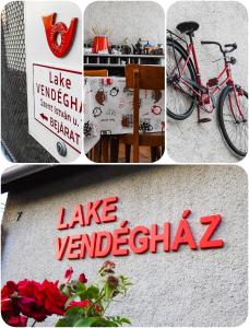 在Lake Vendégház内部或周边骑自行车