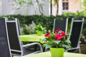 纽伦堡花园酒店的绿花瓶,红色花朵坐在桌子上