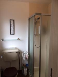 基拉尼Inisfail的一间带卫生间和玻璃淋浴间的浴室