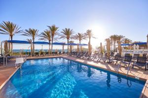 帕尔马海滩尼格若思克酒店 - 仅限成年人的一个带椅子和棕榈树的大型游泳池