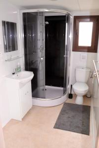科希策Holiday houses BARCA的带淋浴、卫生间和盥洗盆的浴室