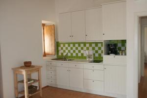 波塔莱格雷Casa da Pedra-Quinta do Briando的厨房配有白色橱柜,墙上铺有绿色瓷砖。