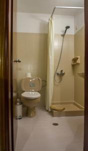 毕达哥利翁帕丽文尼酒店的一间带卫生间和淋浴的浴室