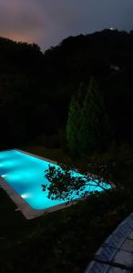 辛特拉辛特拉花园酒店的前沿的树的夜间游泳池