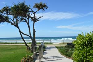 黄金海岸圣地海滩度假酒店的通往海滩的步道,那里有长凳和树木