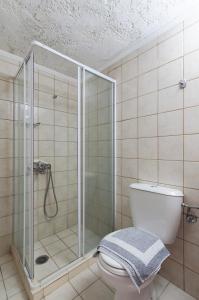 扎罗斯克拉莫斯酒店的带淋浴和白色卫生间的浴室