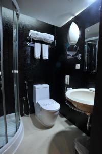 达卡铂金酒店的一间带卫生间和水槽的浴室