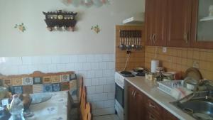沃尼奥尔茨沃什海吉Gerania ház的厨房配有水槽和炉灶 顶部烤箱