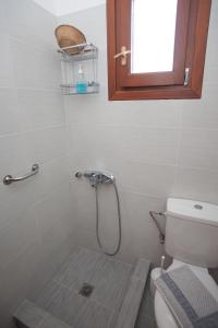 斯科拉Villa Zacharo的带淋浴、卫生间和窗户的浴室