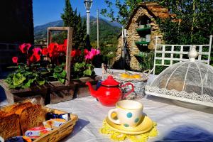 彼得拉桑塔Pietrasanta的茶壶和茶壶