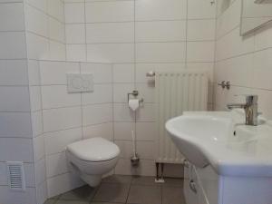 吕本瑙Ferienwohnung am Torbogen Nr.2的白色的浴室设有卫生间和水槽。