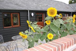 EllinghamBlashford Manor Holiday Cottage - The Dartmoor Cottage的一大堆向日葵在房子前面