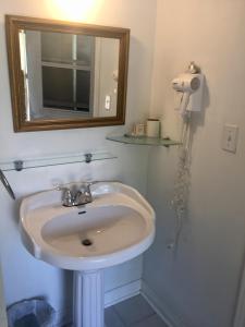 尼亚加拉瀑布埃利斯之家住宿加早餐旅馆的浴室设有白色水槽和镜子