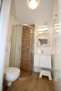 波别罗沃Baltic Sky的带淋浴、卫生间和盥洗盆的浴室