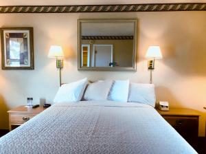 科迪科迪霍斯特经济酒店的一间卧室配有一张大床、两盏灯和一面镜子