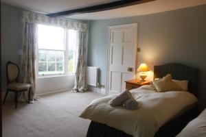 Wormbridge特里夫之家住宿加早餐旅馆的一间卧室配有一张带灯和窗户的床