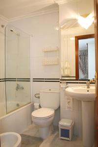卡斯特罗卡尔德拉斯维森特里斯科酒店的浴室配有卫生间、盥洗盆和淋浴。