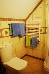 亚列姆切Villa Iris的浴室设有卫生间和带毛巾的淋浴。