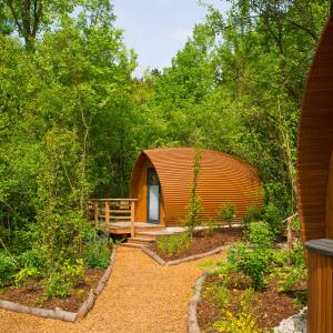 小布利特斯多夫Glamping Resort Biosphäre Bliesgau的森林中间的圆形房屋