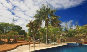 彭特派因莫库图A字形小屋的游泳池旁的棕榈树