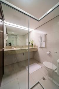 圣保罗圣保罗帕纳比酒店的一间带玻璃淋浴和卫生间的浴室