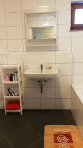 安特特泽Holiday apartment #103 on Walensee的一间带水槽和镜子的浴室