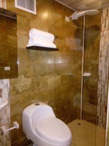 蒂瓦索萨Posadas San Antonio Campestre的一间带卫生间和淋浴的浴室