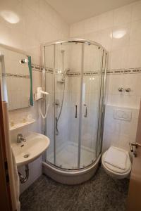 达姆施塔特加尔达酒店&餐厅的带淋浴、卫生间和盥洗盆的浴室