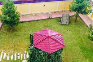 撒马尔罕撒马尔罕梦想酒店 的院子中粉红色伞的上空景色