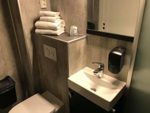 勒罗斯Rørosvidda Hotell的浴室配有盥洗盆、卫生间和毛巾。