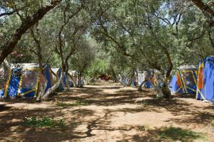 加藤-达拉特索哈尼亚露营地的林中一排帐篷