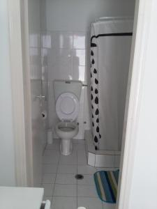 安迪帕罗斯岛Galanis Place的一间带卫生间和淋浴的小浴室